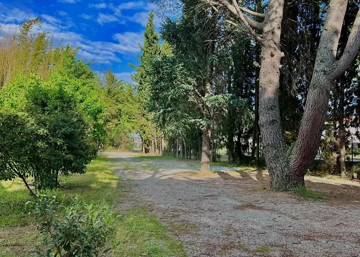 Domaine De La Fauvelle Apartmán Thuir